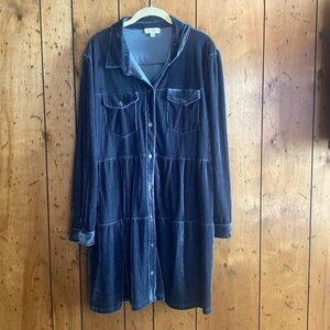 Umgee blue velvet dress